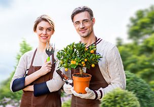 Проект «под ключ» где можно заказать по низкой цене  в Мариуполе