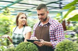 Дендроплан - верное планирование территории и решения этой задачи на уровне  в Мариуполе