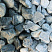 Kamenclub.ru: Щебень галтованный зеленый (змеевик) фр. 50-100 мм.  купить в Мариуполе галтовка мраморная зеленый, салатовый мрамор 12 500 руб/т   фото КАМЕНЬ КЛУБ