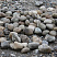 Kamenclub.ru: Речной валун (Ассорти) фр.100-300 мм.  купить в Мариуполе галечник серый, темно-серый, светло-серый речная галька крупных размеров 4200 руб/т   фото КАМЕНЬ КЛУБ