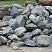 Kamenclub.ru: Гранит скальник (серо-зеленый) фр. 100-500 мм.  купить в Мариуполе гранит зеленый, серый, салатовый крупный ландшафтный валун 6 000 руб/т   фото КАМЕНЬ КЛУБ