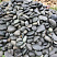 Kamenclub.ru: Темно-серый валунчик фр.100-300 мм.  купить в Мариуполе крупный природный камень серый, темно-серый, светло-серый речная галька большого размера окатанная 4500 руб/т   фото КАМЕНЬ КЛУБ