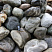 Kamenclub.ru: Речной валун Кабанчик фр.300-500 мм.  купить в Мариуполе крупный природный камень галька серый, темно-серый речной валун галечник масштабный 7000 руб/т   фото КАМЕНЬ КЛУБ