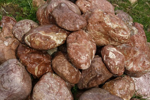 Kamenclub.ru: Розовый валунчик фр.100-300 мм.  купить в Мариуполе крупный природный камень розовый, серый молочный красный речной галечник природный 7850 руб/т   фото КАМЕНЬ КЛУБ