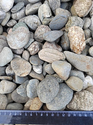 Kamenclub.ru: Галька речная окат (пестрая) фр. 20-40 мм. купить  в Мариуполе галька речная пестрая, серая, серые оттенки галька речная окатанная округлая 5000 руб/т   фото КАМЕНЬ КЛУБ