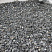 Kamenclub.ru: Щебень крошка черный (мрамор) фр. 10-20 мм.  купить в Мариуполе мрамор черный с белыми прожилками, черный, белый каменная ландшафтная декоративная крошка щебня 11000 руб/т   фото КАМЕНЬ КЛУБ
