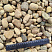 Kamenclub.ru: Галька речная окат рыжая фр. 20-40 мм. купить  в Мариуполе галька речная окатанная рыжая желтая серая округлая речная галька 5000 руб/т   фото КАМЕНЬ КЛУБ