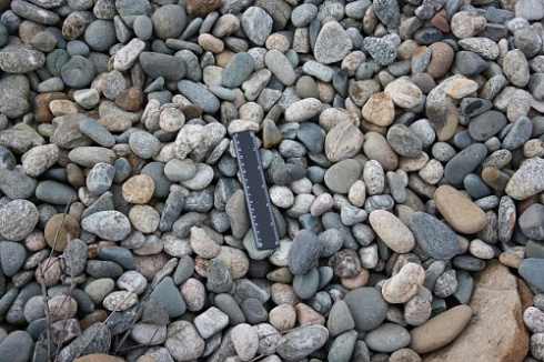 Kamenclub.ru: Галька речная окат (пестрая) фр. 20-40 мм. купить  в Мариуполе галька речная пестрая, серая, серые оттенки галька речная окатанная округлая 5000 руб/т   фото КАМЕНЬ КЛУБ