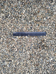 Kamenclub.ru: Галька речная окат (серая) фр.5-10 мм купить  в Мариуполе галька речная серая, серый, темно-серый, светло-серый, коричневый речная окатанная галька декоративная ландшатфная 5000 руб/т   фото КАМЕНЬ КЛУБ