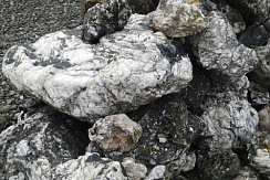 Kamenclub.ru: Черный гранит - кварцит фр. 100-500 мм.  купить в Мариуполе мрамор гранит черный с белыми прожилками, серый, белый валун скальный колотый 7000 руб/т   фото КАМЕНЬ КЛУБ