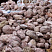 Kamenclub.ru: Розовый валунчик фр.100-300 мм.  купить в Мариуполе крупный природный камень розовый, серый молочный красный речной галечник природный 7850 руб/т   фото КАМЕНЬ КЛУБ