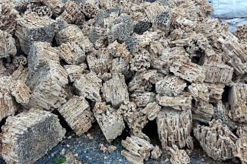 Kamenclub.ru: Крымский природный меотис фр. 100-500 мм.  купить в Мариуполе меотис бежевый рыжий молочный желтый ракушечник 4 500 руб/т   фото КАМЕНЬ КЛУБ