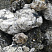 Kamenclub.ru: Черный гранит - кварцит фр. 100-500 мм.  купить в Мариуполе мрамор гранит черный с белыми прожилками, серый, белый валун скальный колотый 7000 руб/т   фото КАМЕНЬ КЛУБ