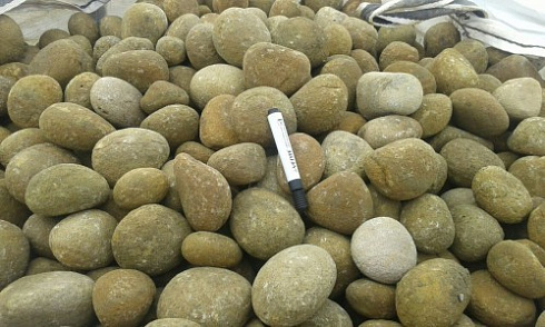 Kamenclub.ru: Песчаник ядра, фр. 100-300 мм  купить в Мариуполе песчаник бежевый серый рыжий речная галька 5 000 руб/т   фото КАМЕНЬ КЛУБ