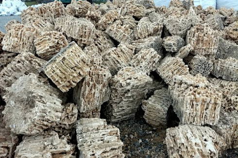 Kamenclub.ru: Крымский природный меотис фр. 100-500 мм.  купить в Мариуполе меотис бежевый рыжий молочный желтый ракушечник 4 500 руб/т   фото КАМЕНЬ КЛУБ