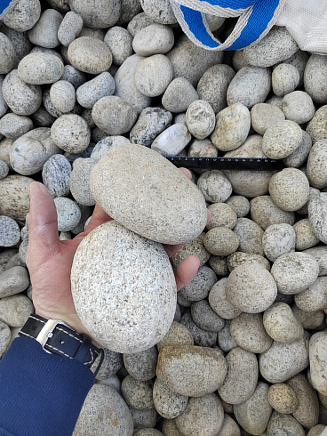 Kamenclub.ru: Галька речная окат (серо-белая) фр. 70-120 мм купить  в Мариуполе галька галечник бело-серая, серо-белая, серая, белая речная природная галька  8000 руб/т   фото КАМЕНЬ КЛУБ