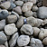 Kamenclub.ru: Темно-серый валунчик фр.100-300 мм.  купить в Мариуполе крупный природный камень серый, темно-серый, светло-серый речная галька большого размера окатанная 4500 руб/т   фото КАМЕНЬ КЛУБ