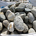 Kamenclub.ru: Речной валун (Ассорти) фр.100-300 мм.  купить в Мариуполе галечник серый, темно-серый, светло-серый речная галька крупных размеров 4200 руб/т   фото КАМЕНЬ КЛУБ