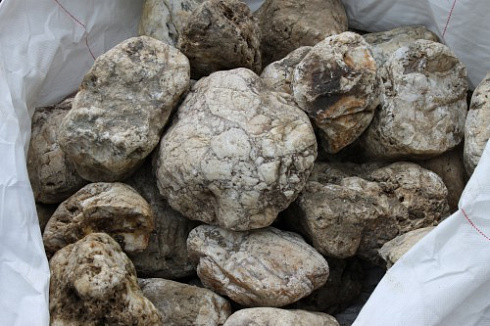 Kamenclub.ru: Кварцевый валунчик фр.100-300 мм.  купить в Мариуполе кварц белый, бежевый молочный рыжий крупный природный камень галечник 7850 руб/т   фото КАМЕНЬ КЛУБ