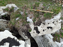 Kamenclub.ru: Выветренный известняк (степной) фр. 500-1500 мм.  купить в Мариуполе    10000 руб/т   фото КАМЕНЬ КЛУБ