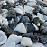Kamenclub.ru: Мраморная крошка (щебень галтованный микс:: белый-черный) фр.20-40 мм  купить в Мариуполе мрамор белый, черный мраморный галтованный щебень 15500 руб/т   фото КАМЕНЬ КЛУБ