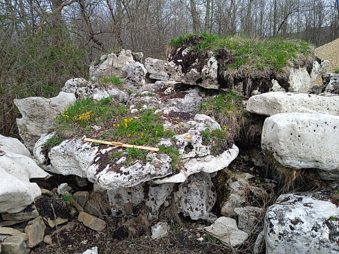 Kamenclub.ru: Выветренный известняк со мхом фр. 100-500 мм.  купить в Мариуполе известняк серый белый зеленый валун известняковый крупный 10000 руб/т   фото КАМЕНЬ КЛУБ