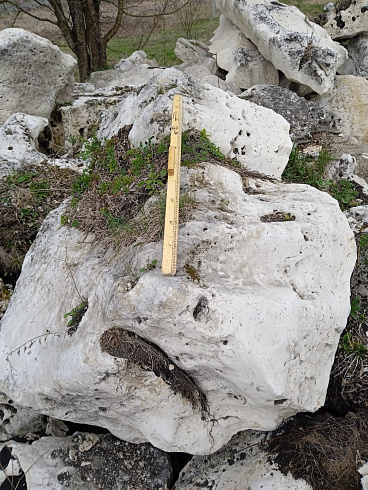 Kamenclub.ru: Выветренный известняк со мхом фр. 100-500 мм.  купить в Мариуполе известняк серый белый зеленый валун известняковый крупный 10000 руб/т   фото КАМЕНЬ КЛУБ