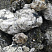 Kamenclub.ru: Черный гранит - кварцит фр. 100-500 мм.  купить в Мариуполе мрамор гранит черный с белыми прожилками, серый, белый валун скальный колотый 7000 руб/т   фото КАМЕНЬ КЛУБ