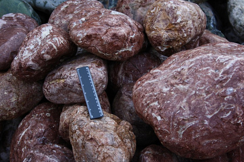 Kamenclub.ru: Розовый валунчик фр.100-300 мм.  купить в Мариуполе крупный природный камень розовый, серый молочный красный речной галечник природный 7850 руб/т   фото КАМЕНЬ КЛУБ