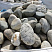 Kamenclub.ru: Речной валун (Ассорти) фр.100-300 мм.  купить в Мариуполе галечник серый, темно-серый, светло-серый речная галька крупных размеров 4200 руб/т   фото КАМЕНЬ КЛУБ