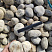 Kamenclub.ru: Галька речная окат (серо-белая) фр. 70-120 мм купить  в Мариуполе галька галечник бело-серая, серо-белая, серая, белая речная природная галька  8000 руб/т   фото КАМЕНЬ КЛУБ