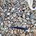 Kamenclub.ru: Галька речная окат (пестрая) фр. 20-40 мм. купить  в Мариуполе галька речная пестрая, серая, серые оттенки галька речная окатанная округлая 5000 руб/т   фото КАМЕНЬ КЛУБ