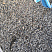 Kamenclub.ru: Галька речная окат (серая) фр.3-5 мм купить  в Мариуполе галька речная серая бежевый темно-серый окатанный речной камень округлый 9500 руб/т   фото КАМЕНЬ КЛУБ
