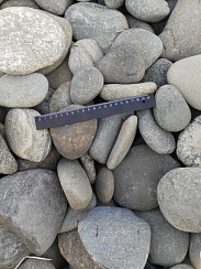 Kamenclub.ru: Галька речная плоская (ассорти) фр. 70-150 мм. купить в Мариуполе галька галечник серый белый темно-серый синий светло-серый плоская природная галька  9000 руб/т   фото КАМЕНЬ КЛУБ