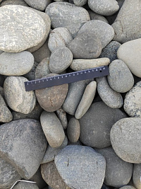 Kamenclub.ru: Галька речная плоская (ассорти) фр. 70-150 мм. купить в Мариуполе галька галечник серый белый темно-серый синий светло-серый плоская природная галька  9000 руб/т   фото КАМЕНЬ КЛУБ