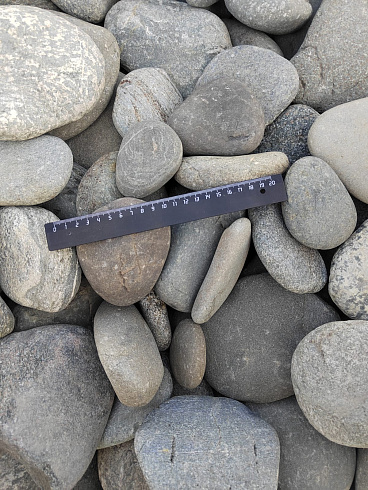 Kamenclub.ru: Галька речная плоская (серо-белая) фр. 70-120 мм. купить  в Мариуполе галька галечник речной серый, белый окатанная плоская  природная галька 9000 руб/т   фото КАМЕНЬ КЛУБ