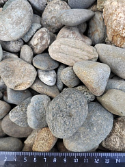 Kamenclub.ru: Галька речная окат (серая) фр.40-60 мм купить  в Мариуполе галька речная серый бежевый рыжий коричневый округлый речной камень 5000 руб/т   фото КАМЕНЬ КЛУБ