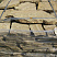Kamenclub.ru: Песчаник пластушка желтый с рисунком (3 см)  купить в Мариуполе песчаник желтый с рисунком, рыжий, желтый песчаник пластушка ландшафтная рваная 8 500 руб/м3   фото КАМЕНЬ КЛУБ