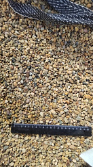 Kamenclub.ru: Галька окат (серо-желтая) фр.5-10 мм. купить  в Мариуполе галька речная рыжий, желтый, рыжий, серо-желтый речная окатанная галька декоративная 5000 руб/т   фото КАМЕНЬ КЛУБ