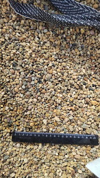 Kamenclub.ru: Галька окат (серо-желтая) фр.5-10 мм. купить  в Мариуполе галька речная рыжий, желтый, рыжий, серо-желтый речная окатанная галька декоративная 5000 руб/т   фото КАМЕНЬ КЛУБ