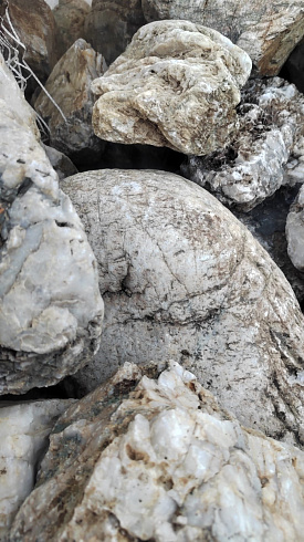 Kamenclub.ru: Кварцевый валунчик фр.100-300 мм.  купить в Мариуполе кварц белый, бежевый молочный рыжий крупный природный камень галечник 7850 руб/т   фото КАМЕНЬ КЛУБ