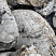 Kamenclub.ru: Кварцевый валунчик фр.100-300 мм.  купить в Мариуполе кварц белый, бежевый молочный рыжий крупный природный камень галечник 7850 руб/т   фото КАМЕНЬ КЛУБ