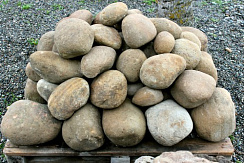 Kamenclub.ru: Песчаник ядра, фр. 100-300 мм  купить в Мариуполе песчаник бежевый серый рыжий речная галька 5 000 руб/т   фото КАМЕНЬ КЛУБ
