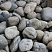 Kamenclub.ru: Речной валун (Ассорти) фр.100-300 мм.  купить в Мариуполе галечник серый, темно-серый, светло-серый речная галька крупных размеров 4200 руб/т   фото КАМЕНЬ КЛУБ