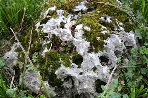 Kamenclub.ru: Выветренный известняк со мхом фр. 100-500 мм.  купить в Мариуполе известняк серый белый зеленый валун известняковый крупный 10000 руб/т   фото КАМЕНЬ КЛУБ