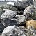 Kamenclub.ru: Черный гранит - кварцит фр. 100-500 мм.  купить в Мариуполе мрамор гранит черный с белыми прожилками, серый, белый валун скальный колотый 7000 руб/т   фото КАМЕНЬ КЛУБ