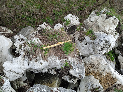 Kamenclub.ru: Выветренный известняк (степной) фр. 500-1500 мм.  купить в Мариуполе    10000 руб/т   фото КАМЕНЬ КЛУБ