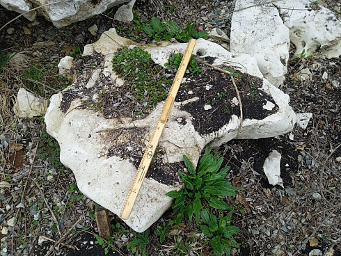 Kamenclub.ru: Выветренный известняк (степной) фр. 500-1500 мм.  купить в Мариуполе    10000 руб/т   фото КАМЕНЬ КЛУБ