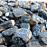 Kamenclub.ru: Щебень галтованный черный (мрамор) фр.20-40 мм.  купить в Мариуполе мрамор черный с белыми прожилками мрамор окатанный округлый 15000 руб/т   фото КАМЕНЬ КЛУБ