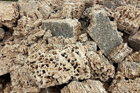 Kamenclub.ru: Крымский природный меотис фр. 100-500 мм.  купить в Мариуполе меотис бежевый рыжий молочный желтый ракушечник 4 500 руб/т   фото КАМЕНЬ КЛУБ